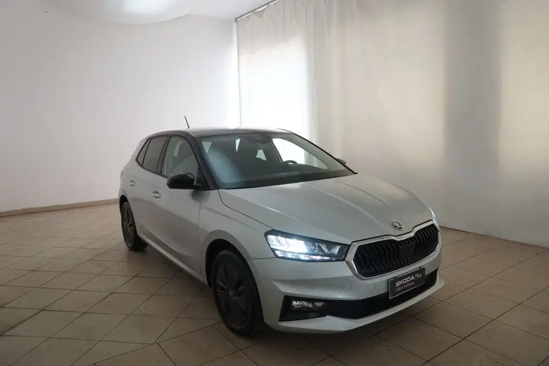 Skoda Fabia usata a Torino (19)