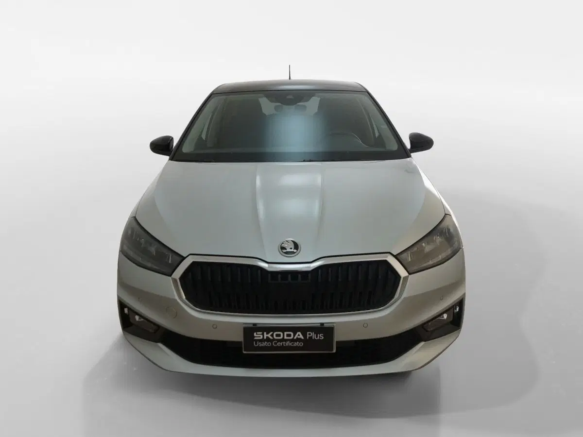 Skoda Fabia usata a Torino (2)
