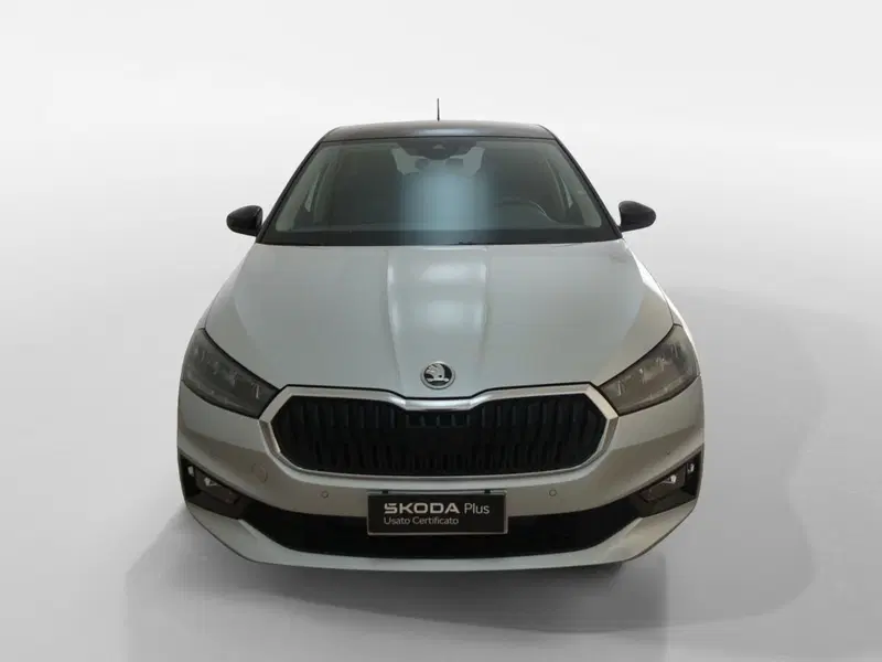 Skoda Fabia usata a Torino (2)