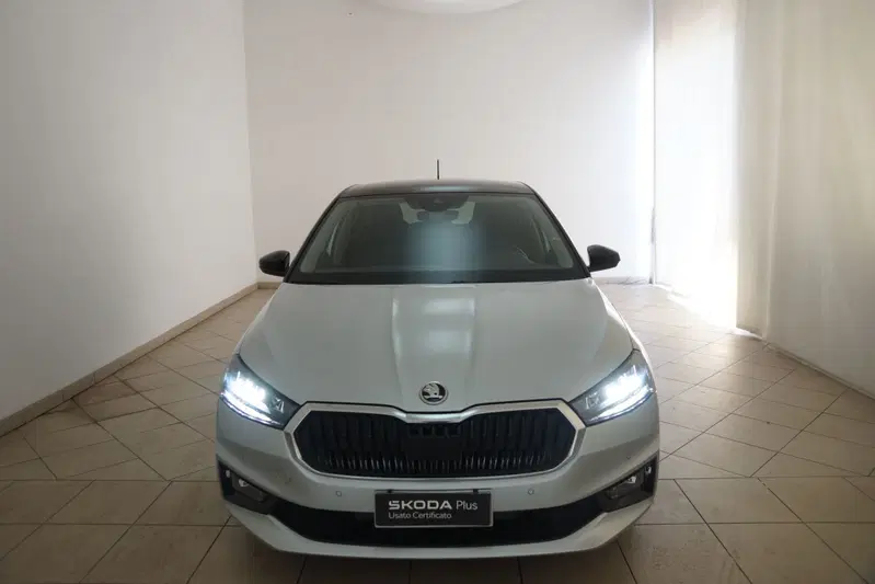 Skoda Fabia usata a Torino (20)