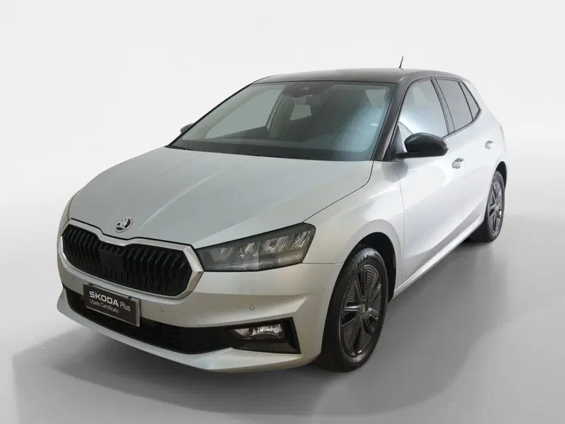 Skoda Fabia usata a Torino (3)