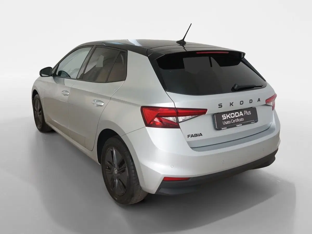 Skoda Fabia usata a Torino (4)
