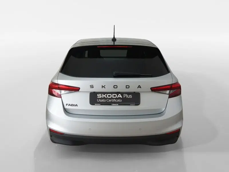 Skoda Fabia usata a Torino (5)
