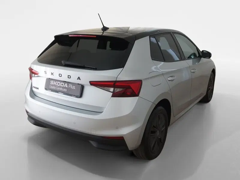 Skoda Fabia usata a Torino (6)