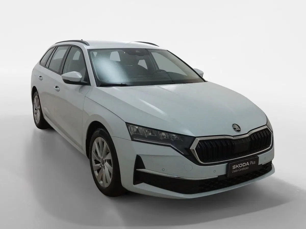Skoda Octavia Station Wagon usata a Torino