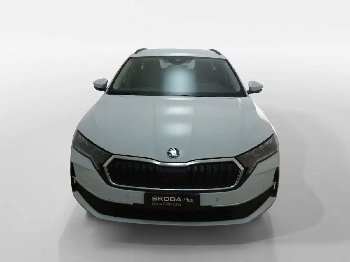 Skoda Octavia Station Wagon usata a Torino (2)