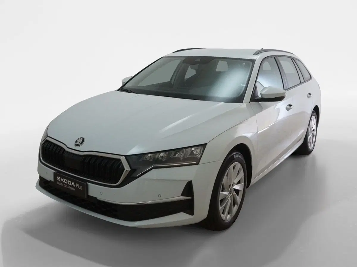 Skoda Octavia Station Wagon usata a Torino (3)