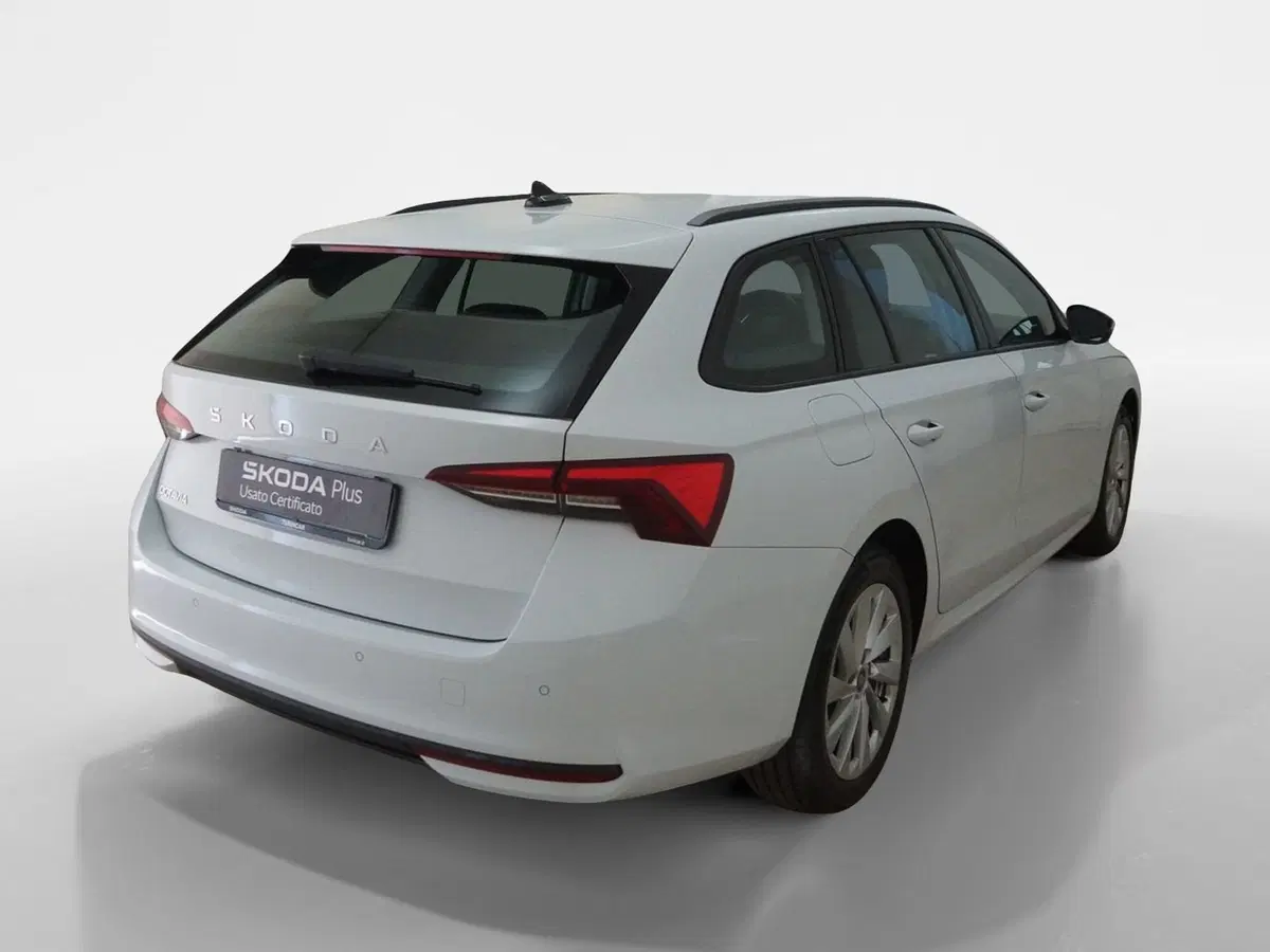 Skoda Octavia Station Wagon usata a Torino (6)