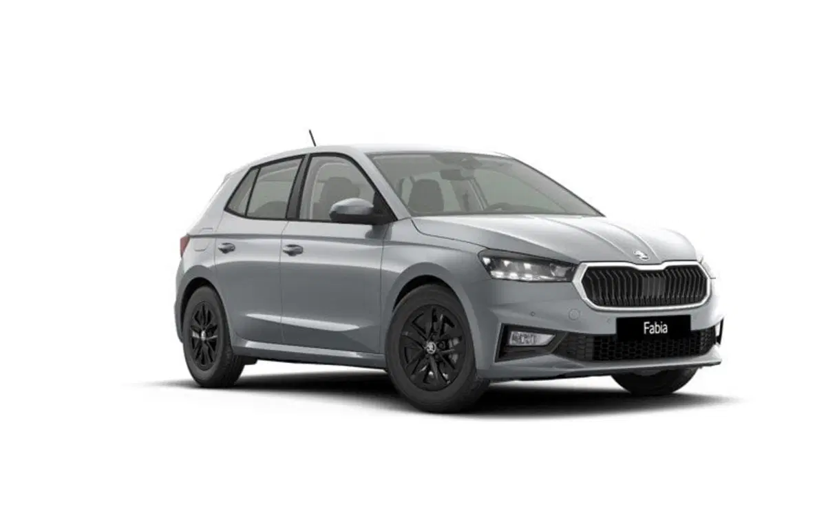 Skoda Fabia nuova a Torino