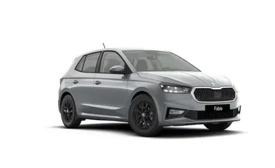 Skoda Fabia 1.0 tsi Your Way 95cv nuova a Torino