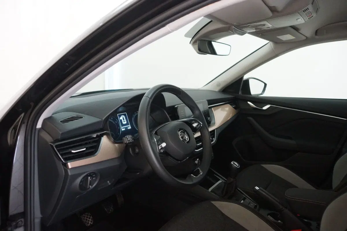 Skoda Kamiq usata a Torino (10)