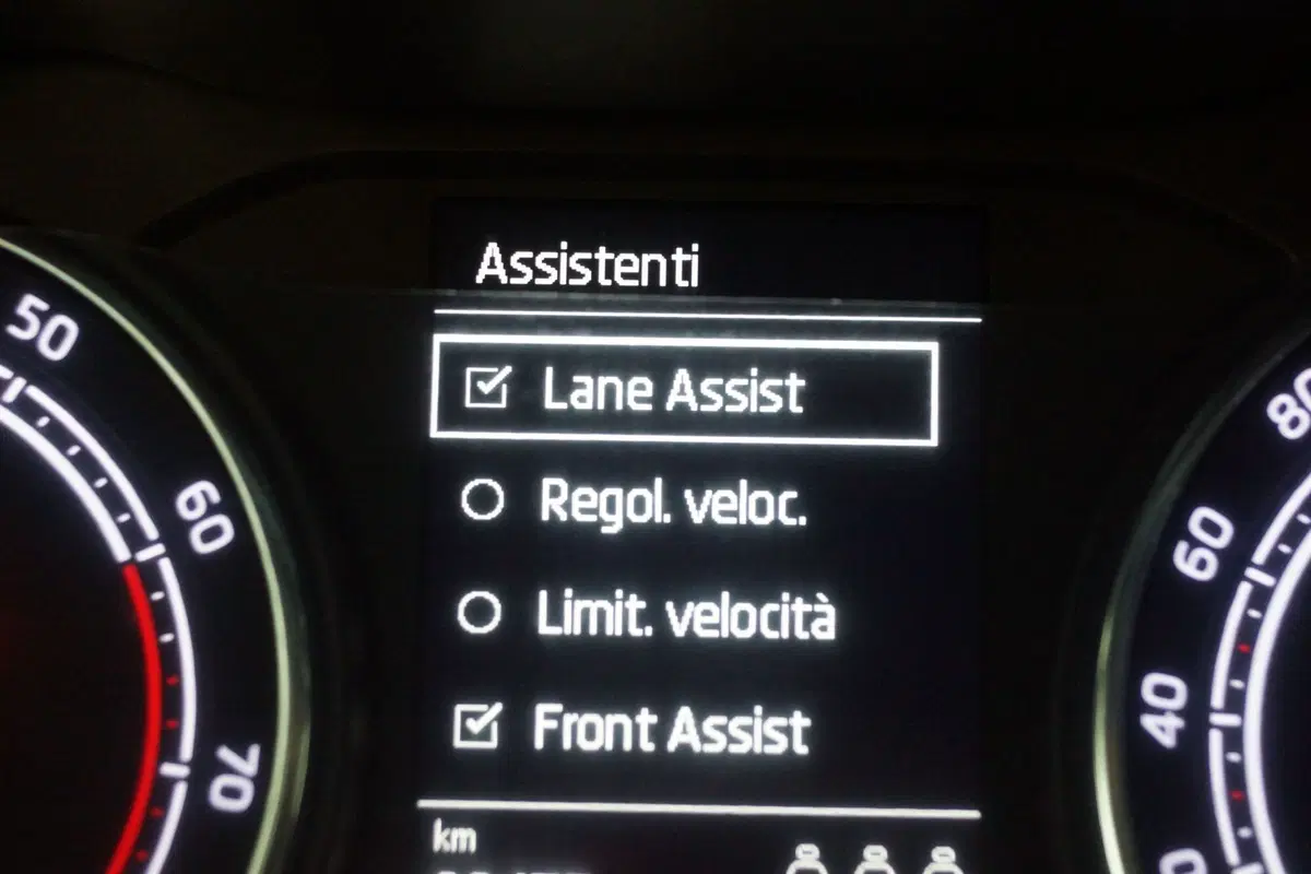 Skoda Kamiq usata a Torino (15)