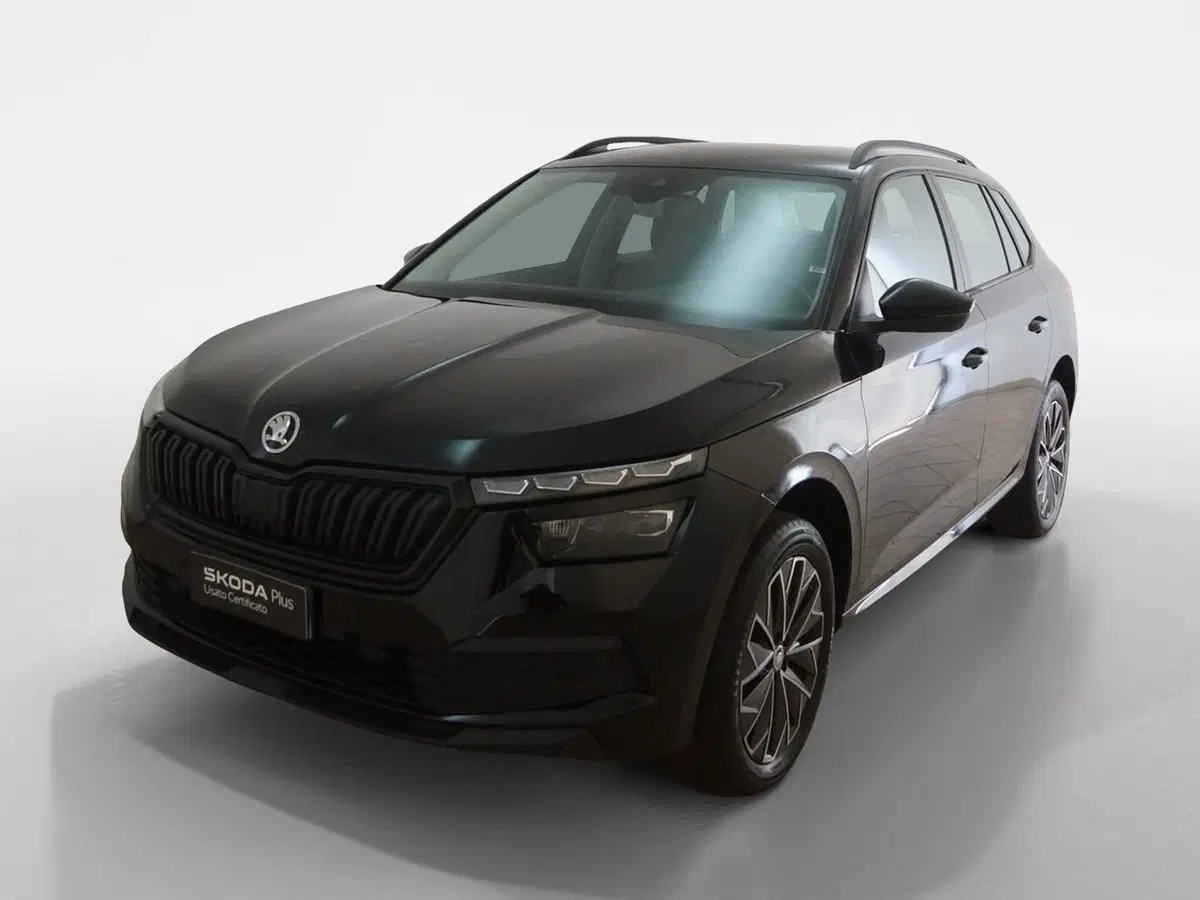 Skoda Kamiq usata a Torino (3)