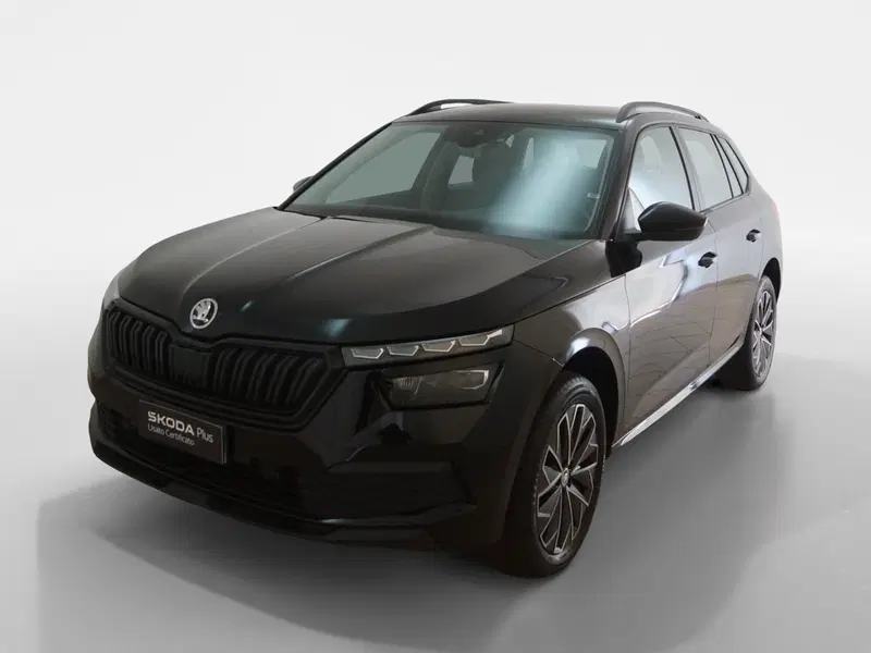 Skoda Kamiq usata a Torino (3)
