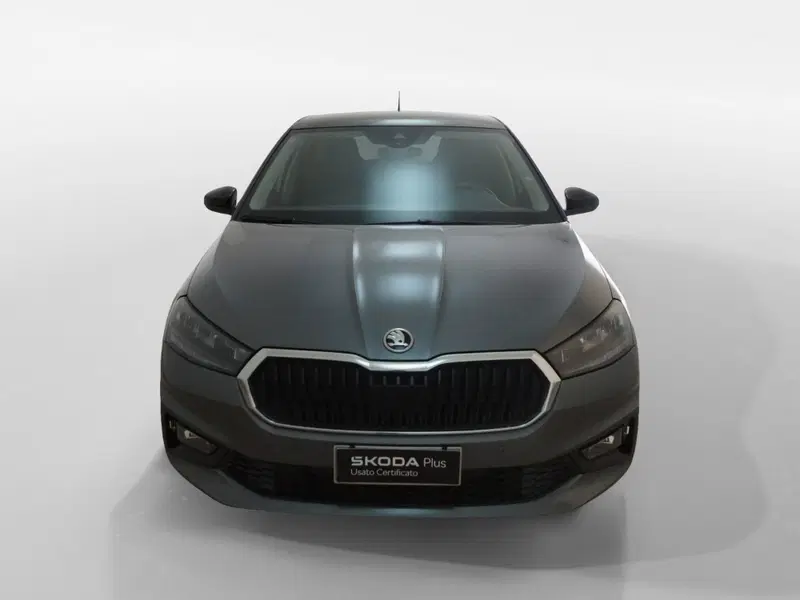 Skoda Fabia usata a Torino (2)