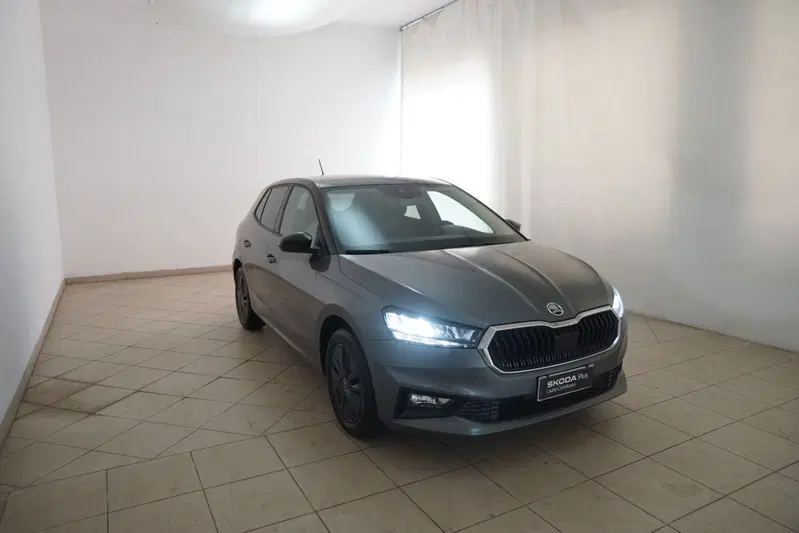 Skoda Fabia usata a Torino (20)