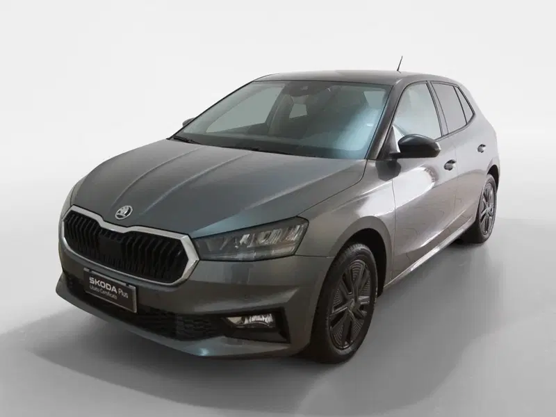 Skoda Fabia usata a Torino (3)