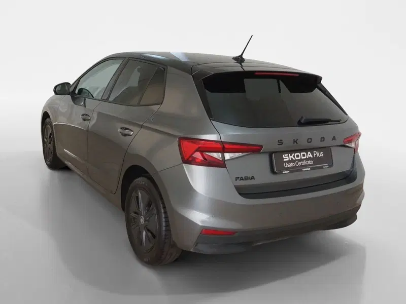 Skoda Fabia usata a Torino (4)