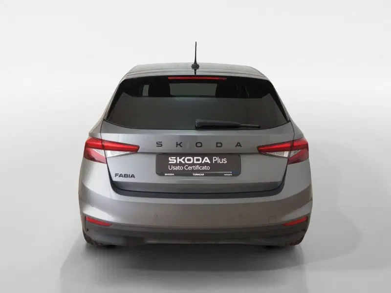 Skoda Fabia usata a Torino (5)