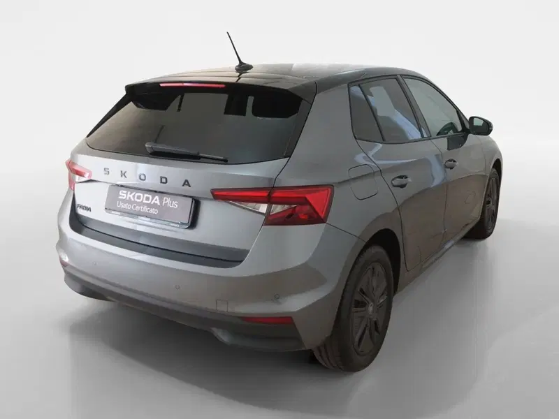 Skoda Fabia usata a Torino (6)