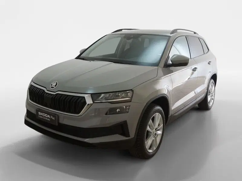 Skoda Karoq usata a Torino (3)