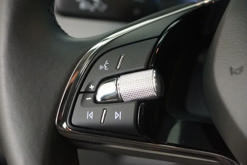Skoda Scala usata a Torino (13)