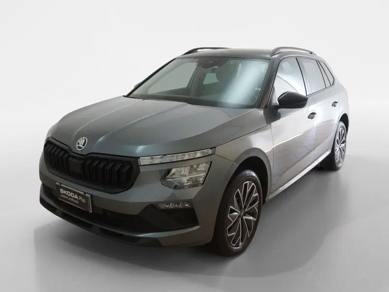 Skoda Kamiq usata a Torino (3)