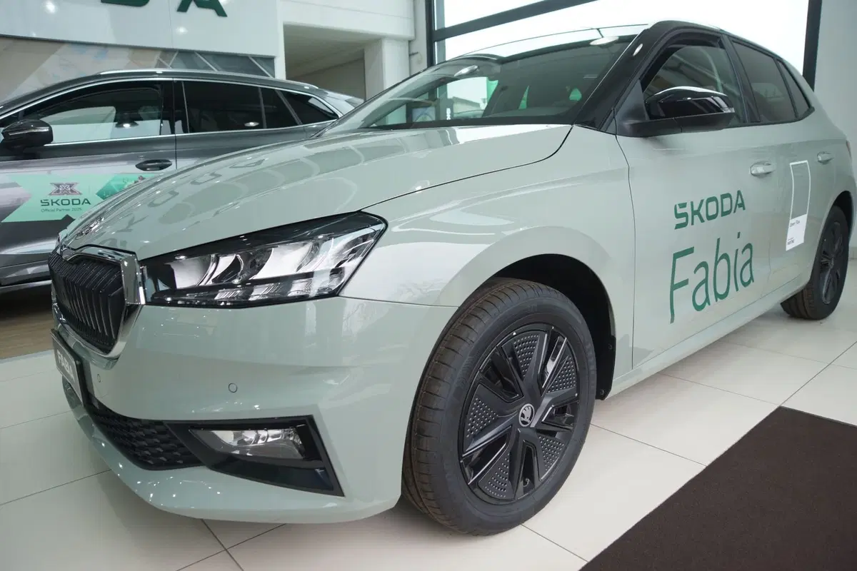 Skoda Fabia nuova a Torino