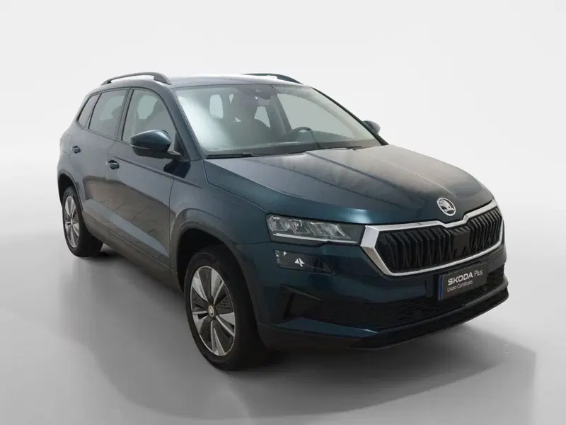 Skoda Karoq usata a Torino