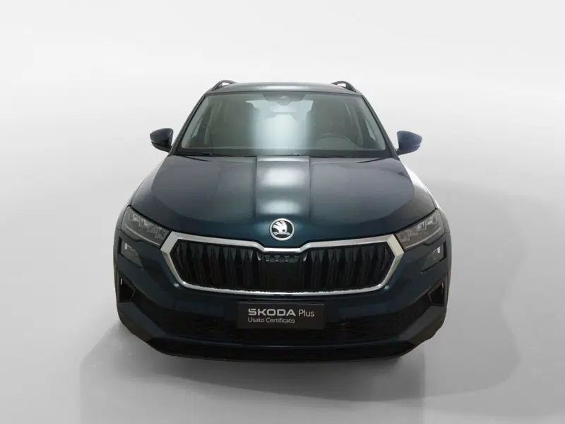Skoda Karoq usata a Torino (2)