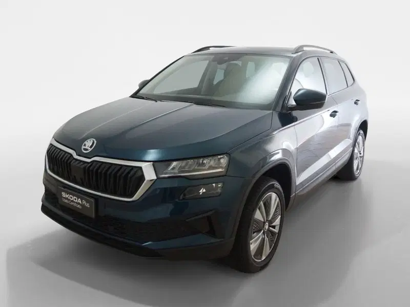 Skoda Karoq usata a Torino (3)
