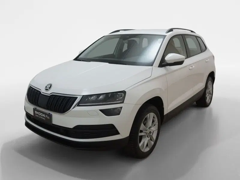 Skoda Karoq usata a Torino (3)