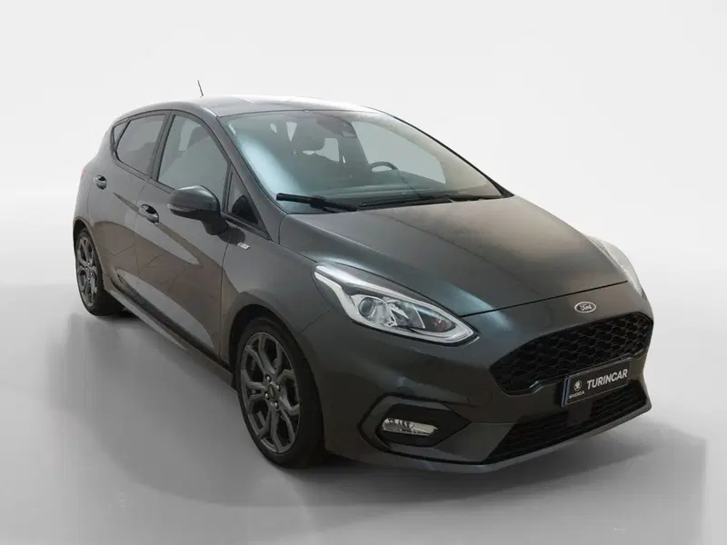Ford Fiesta usata a Torino