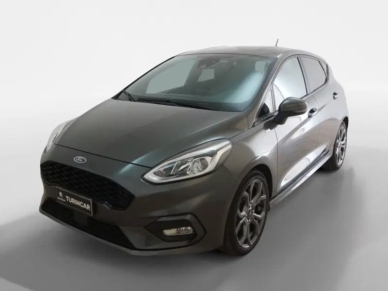 Ford Fiesta usata a Torino (3)