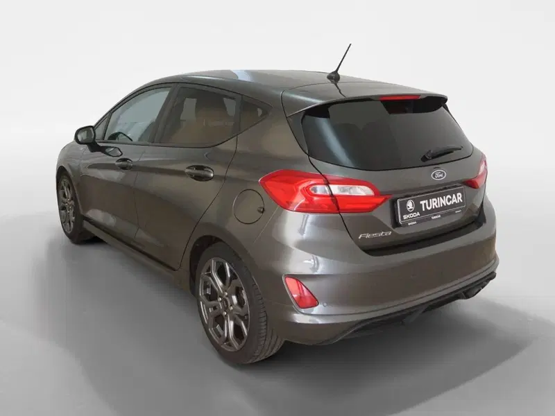 Ford Fiesta usata a Torino (4)