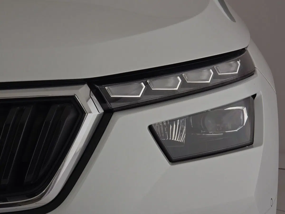 Skoda Kamiq usata a Cuneo (6)