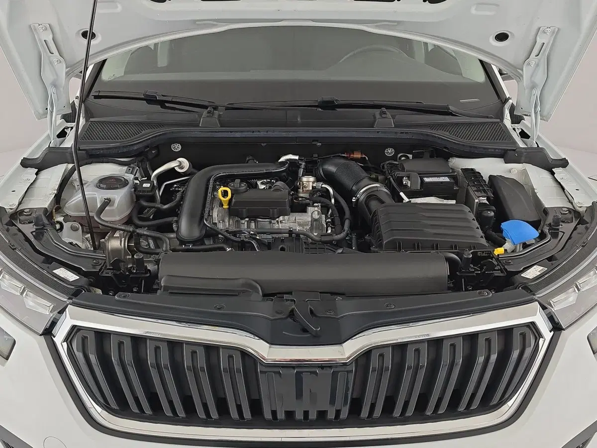 Skoda Kamiq usata a Cuneo (8)