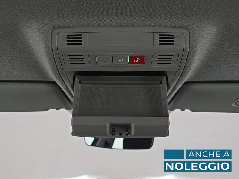 Skoda Fabia usata a Cuneo (20)