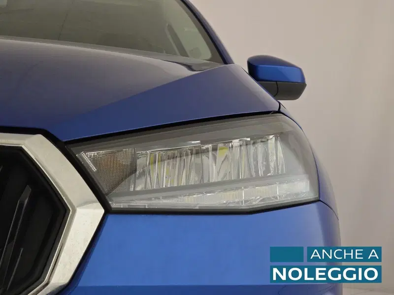Skoda Fabia usata a Cuneo (7)