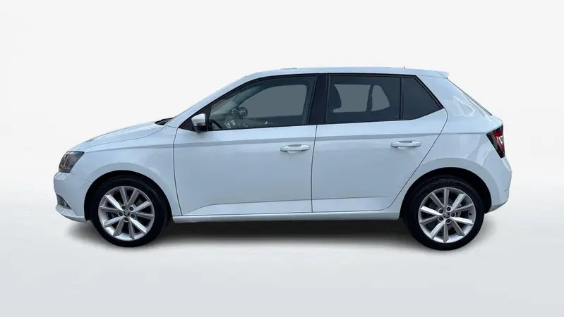 Skoda Fabia usata a Treviso (2)