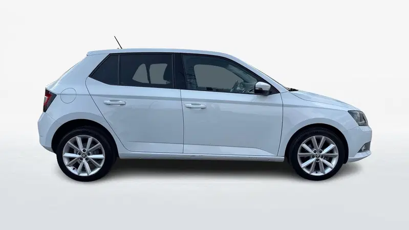 Skoda Fabia usata a Treviso (4)