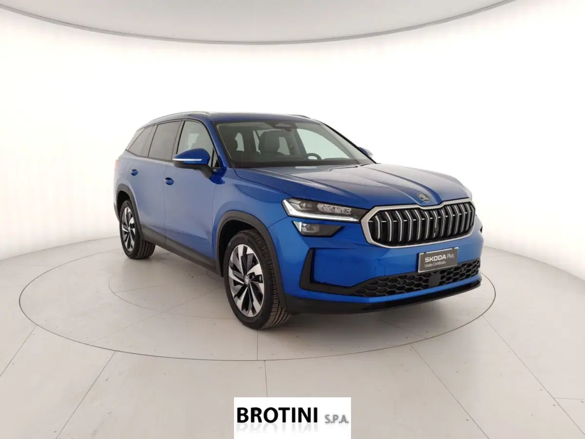 Skoda Kodiaq usata a Massa-Carrara (4)