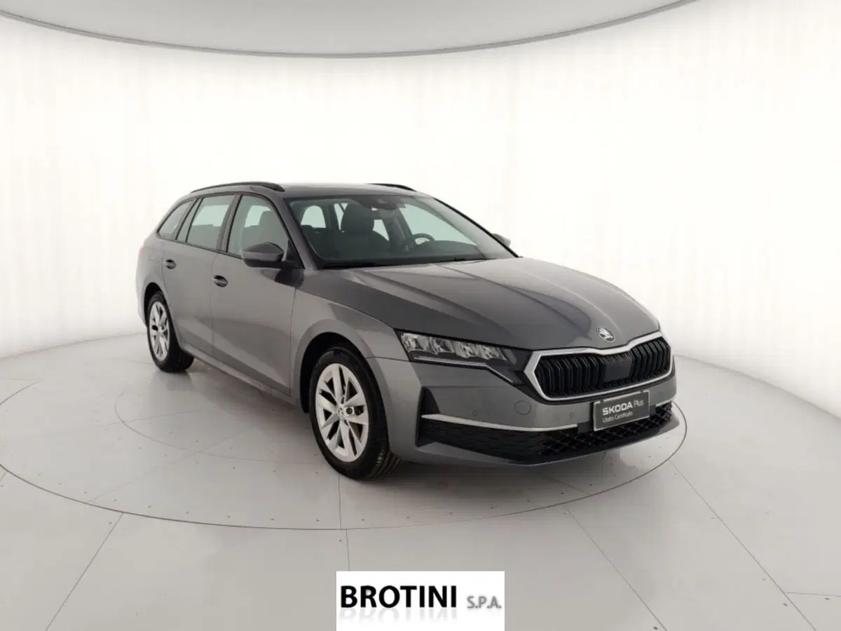 Skoda Octavia Station Wagon usata a Massa-Carrara (4)