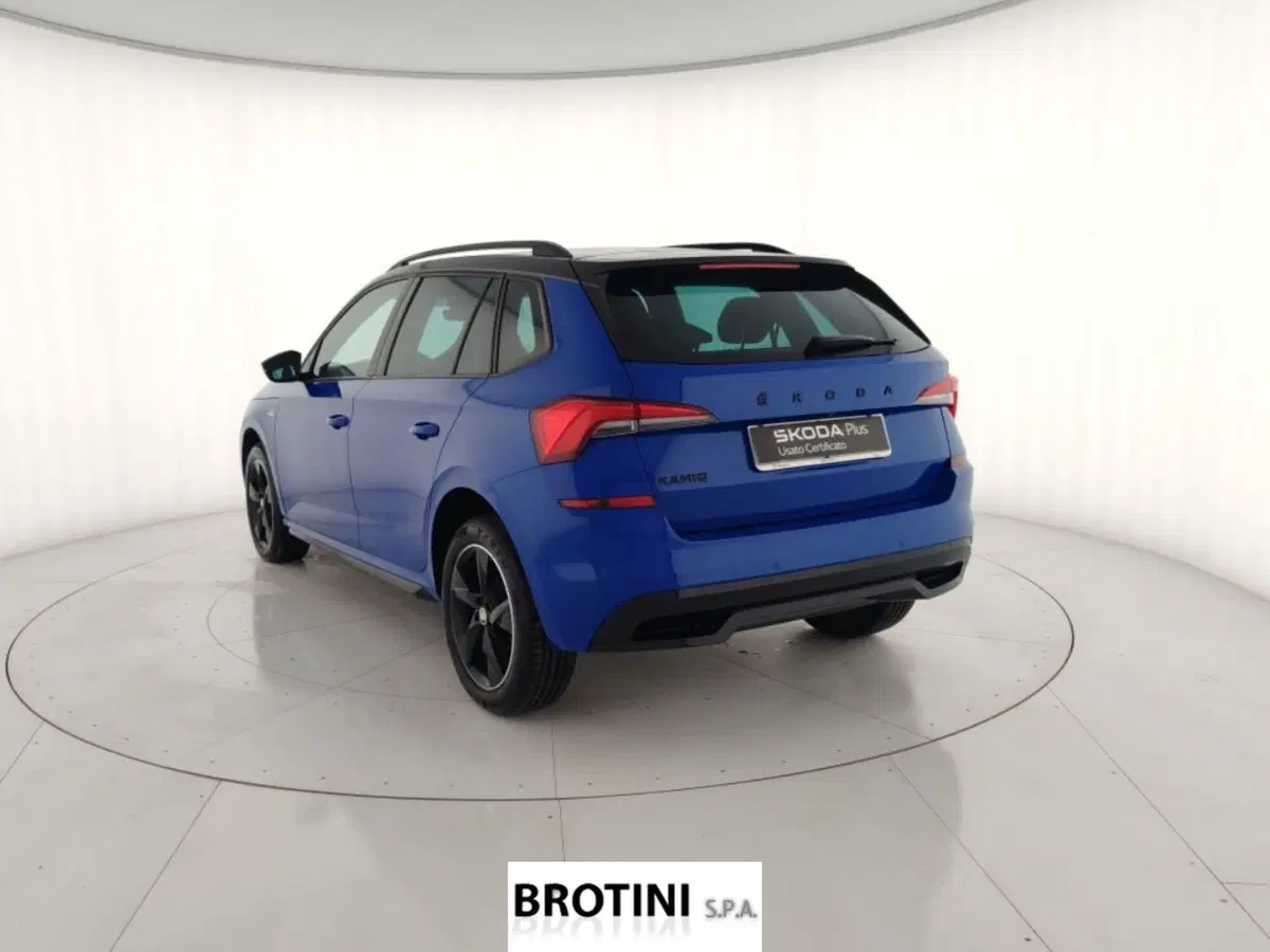 Skoda Kamiq usata a Massa-Carrara (2)