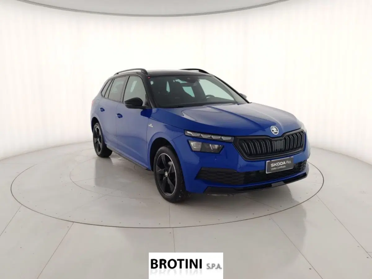 Skoda Kamiq usata a Massa-Carrara (4)