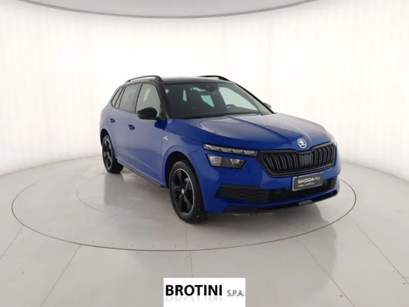 Skoda Kamiq usata a Massa-Carrara (4)