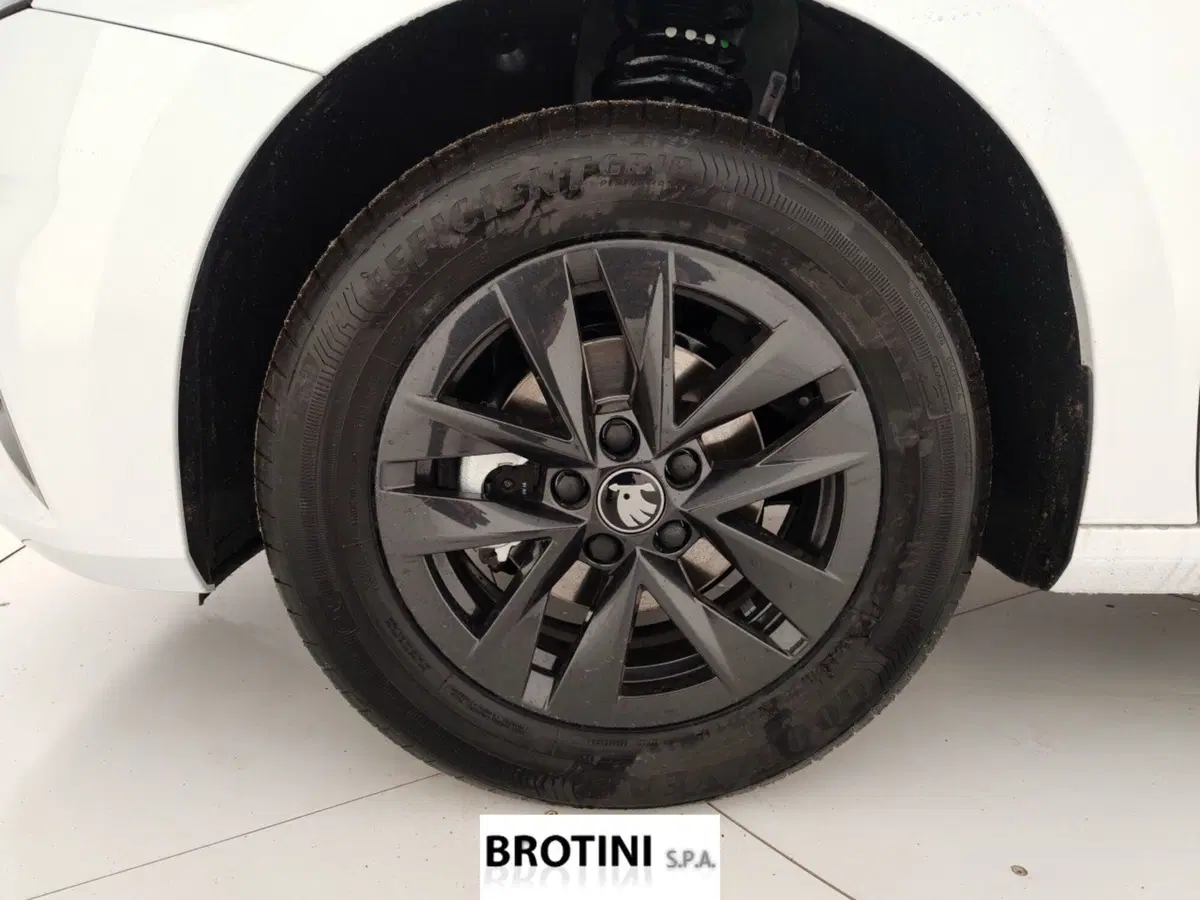 Skoda Fabia nuova a Massa-Carrara (6)