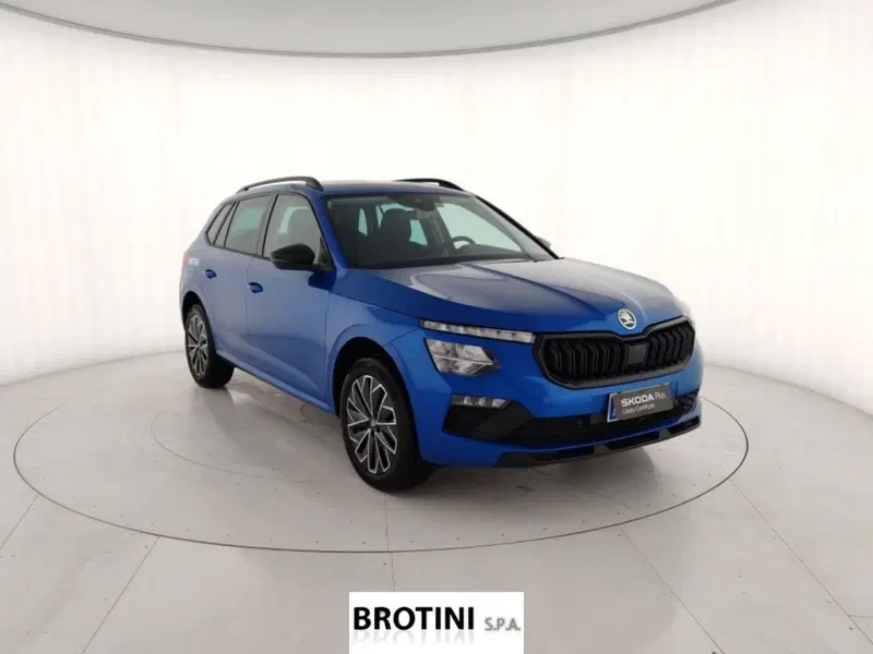 Skoda Kamiq usata a Massa-Carrara (4)