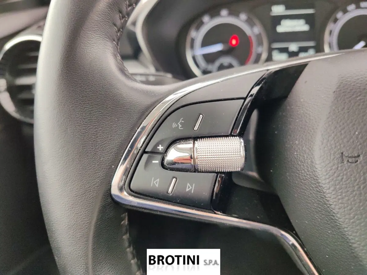 Skoda Fabia usata a Massa-Carrara (14)