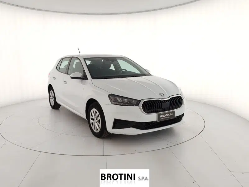 Skoda Fabia usata a Massa-Carrara (4)